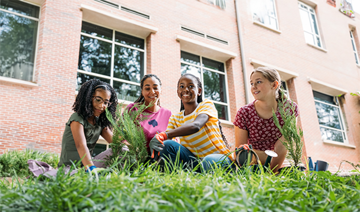 four Girl Scouts plant a tree